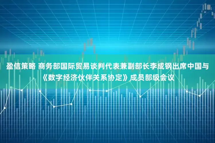 盈信策略 商务部国际贸易谈判代表兼副部长李成钢出席中国与《数字经济伙伴关系协定》成员部级会议